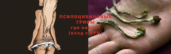 Альфа ПВП Вяземский