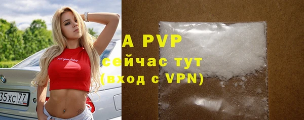 Альфа ПВП Вяземский