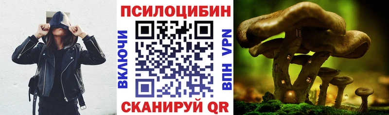 Псилоцибиновые грибы Magic Shrooms  Шахты 